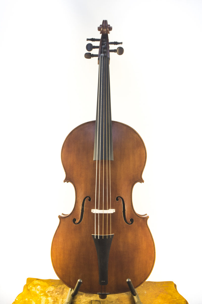 violoncello realizzato da Ester Passiatore